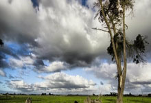 PG电子模拟器:官宣! 中国队亚洲杯名单正式公布! 对手+时间全部出炉, 8强=进世界杯.