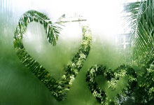 改写IOC历史,考文垂当选第十任国际奥委会主席.